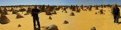 Pinnacles Desert, Koalas And Sandboarding 4WD Day Tour From Perth - Sunshine Coast Guide 11