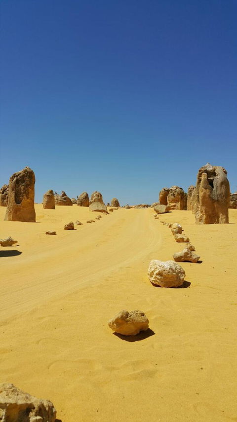 Pinnacles Desert, Koalas And Sandboarding 4WD Day Tour From Perth - Sunshine Coast Guide 3
