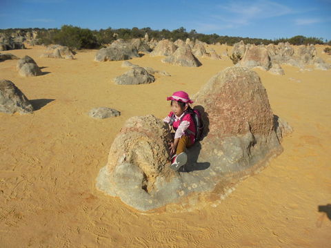 Pinnacles Desert, Koalas And Sandboarding 4WD Day Tour From Perth - Sunshine Coast Guide 7