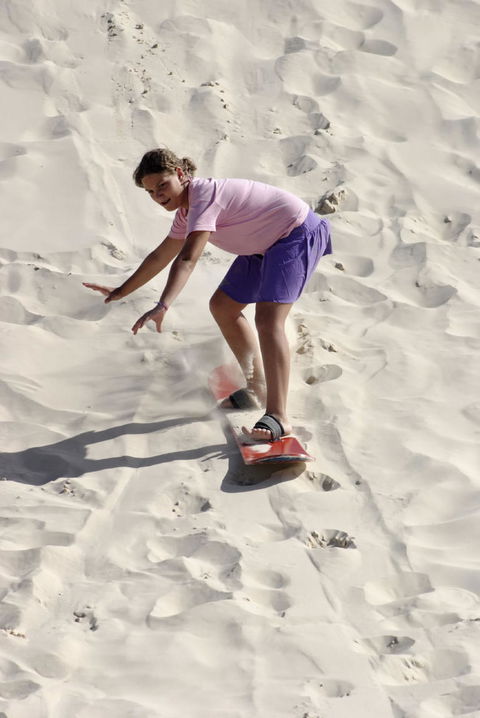 Pinnacles Desert, Koalas And Sandboarding 4WD Day Tour From Perth - Sunshine Coast Guide 24