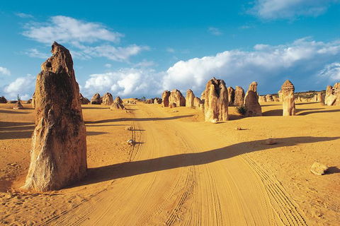 Pinnacles Desert, Koalas And Sandboarding 4WD Day Tour From Perth - Sunshine Coast Guide 0