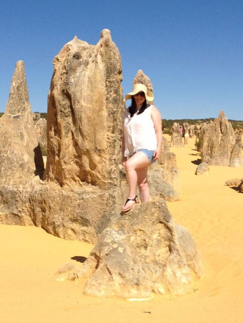 Pinnacles Desert, Koalas And Sandboarding 4WD Day Tour From Perth - Sunshine Coast Guide 16