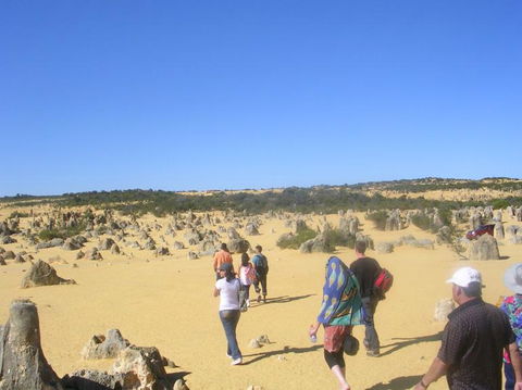 Pinnacles Desert, Koalas And Sandboarding 4WD Day Tour From Perth - Sunshine Coast Guide 25