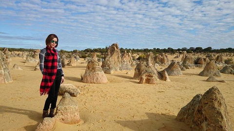 Pinnacles Desert, Koalas And Sandboarding 4WD Day Tour From Perth - Sunshine Coast Guide 13