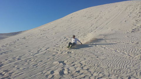Pinnacles Desert, Koalas And Sandboarding 4WD Day Tour From Perth - Sunshine Coast Guide 14