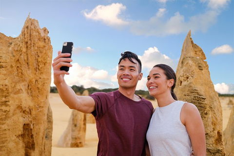 Pinnacles Desert, Koalas And Sandboarding 4WD Day Tour From Perth - Sunshine Coast Guide 27