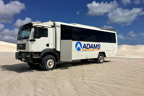 Pinnacles Desert, Koalas And Sandboarding 4WD Day Tour From Perth - Sunshine Coast Guide 28