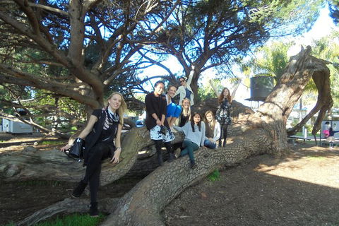 1/2 Day Swan Valley Wine Cheese & Chocolate Tour Inc Afternoon Cruise To Perth - Sunshine Coast Guide 10