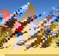 Pinnacles and Swan Valley Day Trip from Perth Including Caversham Wildlife Park Vineyard Lunch Pinnacles and Sandboarding - Sunshine Coast Guide