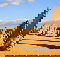 Pinnacles and Yanchep National Park Day Trip from Perth Including Lobster Shack Lunch and Sandboarding - Sunshine Coast Guide