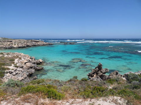 Rottnest Island Tour From Perth Or Fremantle Including Adventure Speed Boat Ride - Sunshine Coast Guide 3