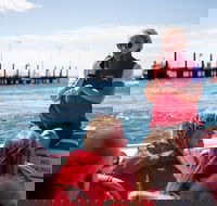 Rottnest Island Tour from Perth or Fremantle including Adventure Speed Boat Ride - Sunshine Coast Guide