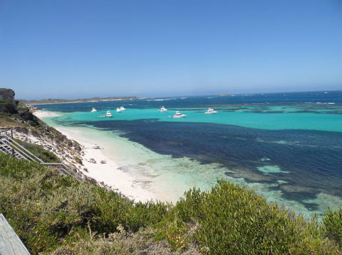 Rottnest Island Tour From Perth Or Fremantle Including Adventure Speed Boat Ride - Sunshine Coast Guide 2