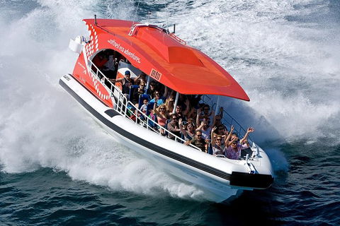 Rottnest Island Tour From Perth Or Fremantle Including Adventure Speed Boat Ride - Sunshine Coast Guide 11