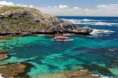 Rottnest Island Tour From Perth Or Fremantle Including Adventure Speed Boat Ride - Sunshine Coast Guide 10