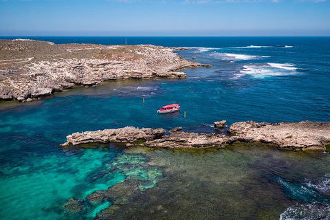 Rottnest Island Tour From Perth Or Fremantle Including Adventure Speed Boat Ride - Sunshine Coast Guide 13