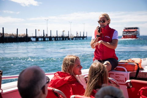 Rottnest Island Tour From Perth Or Fremantle Including Adventure Speed Boat Ride - Sunshine Coast Guide 12