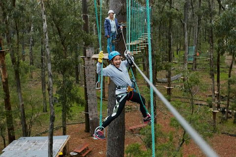 Busselton High Ropes And Zipline Adventure - Sunshine Coast Guide 0