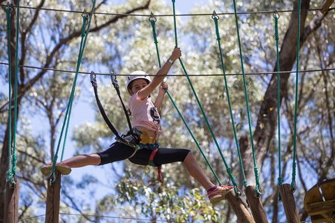 Busselton High Ropes And Zipline Adventure - Sunshine Coast Guide 1