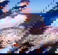 Deep Sea Fishing Charter from Perth - Sunshine Coast Guide