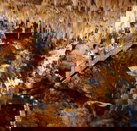 Jewel Cave Fully-guided Tour - Sunshine Coast Guide