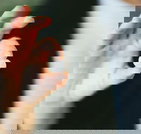 Live Pearl Harvest Experience - Perth - Sunshine Coast Guide