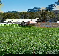 Upper Reach Winery Swan Valley Winery and Vineyard Tour - Sunshine Coast Guide
