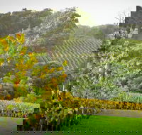 Half-Day Swan Valley  Wildlife Park Tour - Sunshine Coast Guide