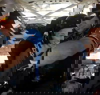 Western Australia Rally School Hotlap Ride in a Rally Car 3 Laps - Sunshine Coast Guide