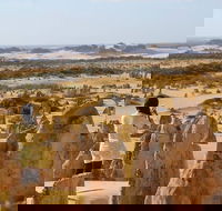 Full-Day Pinnacles Sandboarding and Yanchep National Park from Perth - Sunshine Coast Guide