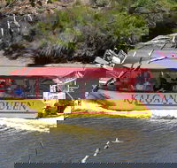 Kalgan Queen Scenic Cruises a four hour sheltered water wildlife tour daily fun. - Sunshine Coast Guide