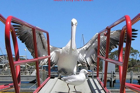 Kalgan Queen Scenic Cruises A Four Hour Sheltered Water Wildlife Tour Daily Fun. - Sunshine Coast Guide 1