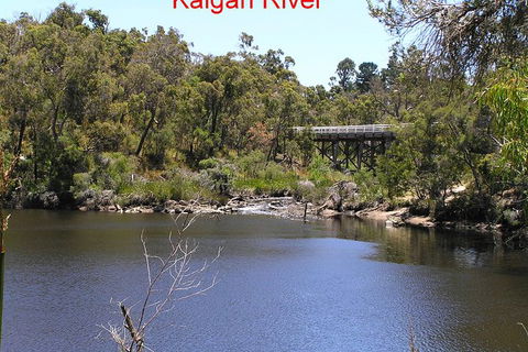 Kalgan Queen Scenic Cruises A Four Hour Sheltered Water Wildlife Tour Daily Fun. - Sunshine Coast Guide 3