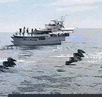 Busselton Whale Watching Eco Tour - Sunshine Coast Guide
