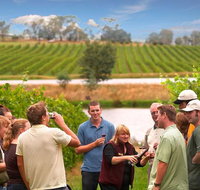 Yarra Valley Wine and Winery Tour from Melbourne - Sunshine Coast Guide
