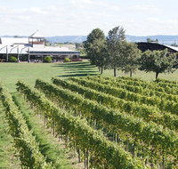 Puffing Billy Train and Yarra Valley Food and Wine Day Trip from Melbourne - Sunshine Coast Guide