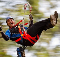 12 Apostles and Otway Fly Zipline Day Trip from Melbourne - Sunshine Coast Guide