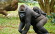 Melbourne Zoo General Entry Ticket - thumb 0