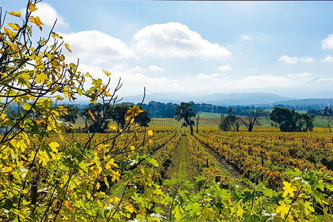 Alternative Yarra Valley Wine Tasting Tour Departing From Melbourne - Sunshine Coast Guide 4