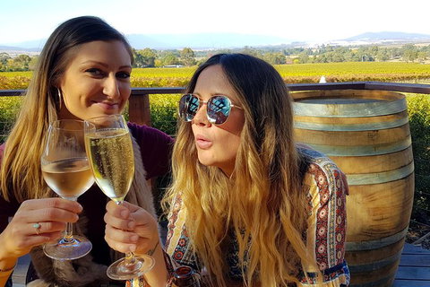 Alternative Yarra Valley Wine Tasting Tour Departing From Melbourne - Sunshine Coast Guide 5