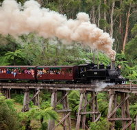 Melbourne Combo Great Ocean Road Puffing Billy Moonlit Sanctuary  Penguins - Sunshine Coast Guide