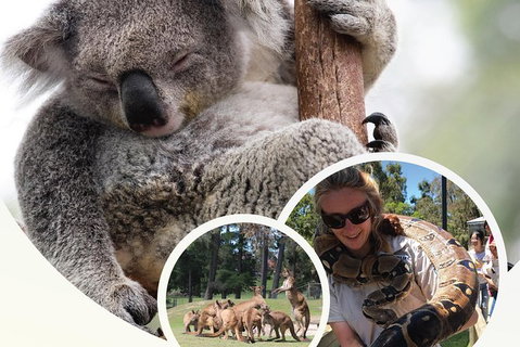 Ballarat Wildlife Park - Sunshine Coast Guide 0