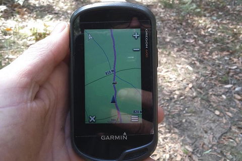 GPS Guided Walks In The Daylesford Forest - Sunshine Coast Guide 0