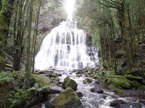 5-Day Best Of Tasmania Tour From Hobart - Sunshine Coast Guide 2