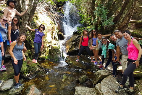 5-Day Best Of Tasmania Tour From Hobart - Sunshine Coast Guide 9