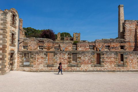 Port Arthur And Tassie Devils Active Day Tour From Hobart - Sunshine Coast Guide 7
