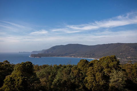 Port Arthur And Tassie Devils Active Day Tour From Hobart - Sunshine Coast Guide 4