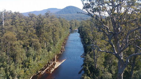 Small-group DayTour From Hobart: Hastings Caves, Huon Valley And Tahune AirWalk - Sunshine Coast Guide 3