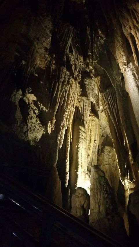 Small-group DayTour From Hobart: Hastings Caves, Huon Valley And Tahune AirWalk - Sunshine Coast Guide 5
