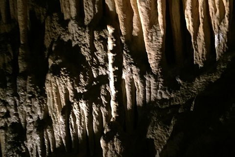 Small-group DayTour From Hobart: Hastings Caves, Huon Valley And Tahune AirWalk - Sunshine Coast Guide 1